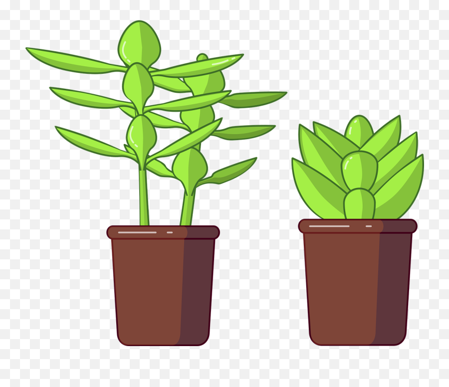 Succulents Succulent Vector - For Indoor Emoji,Succulent Png