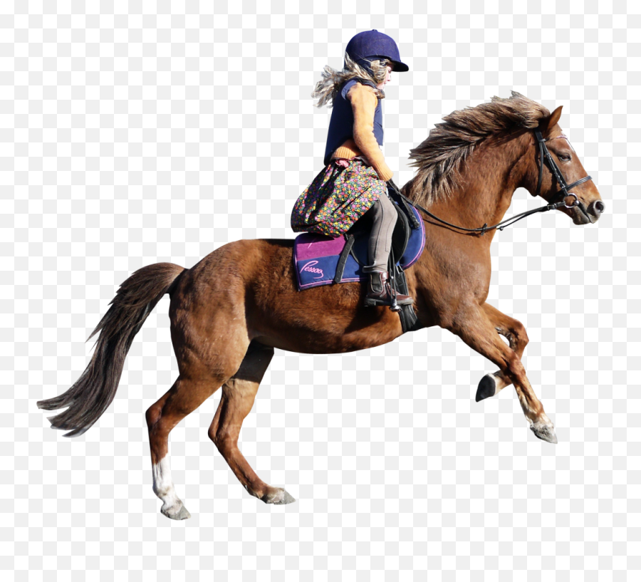 Horse Png Image - Girl On Horse Png Transparent Cartoon People On Horses Png Emoji,Horse Png