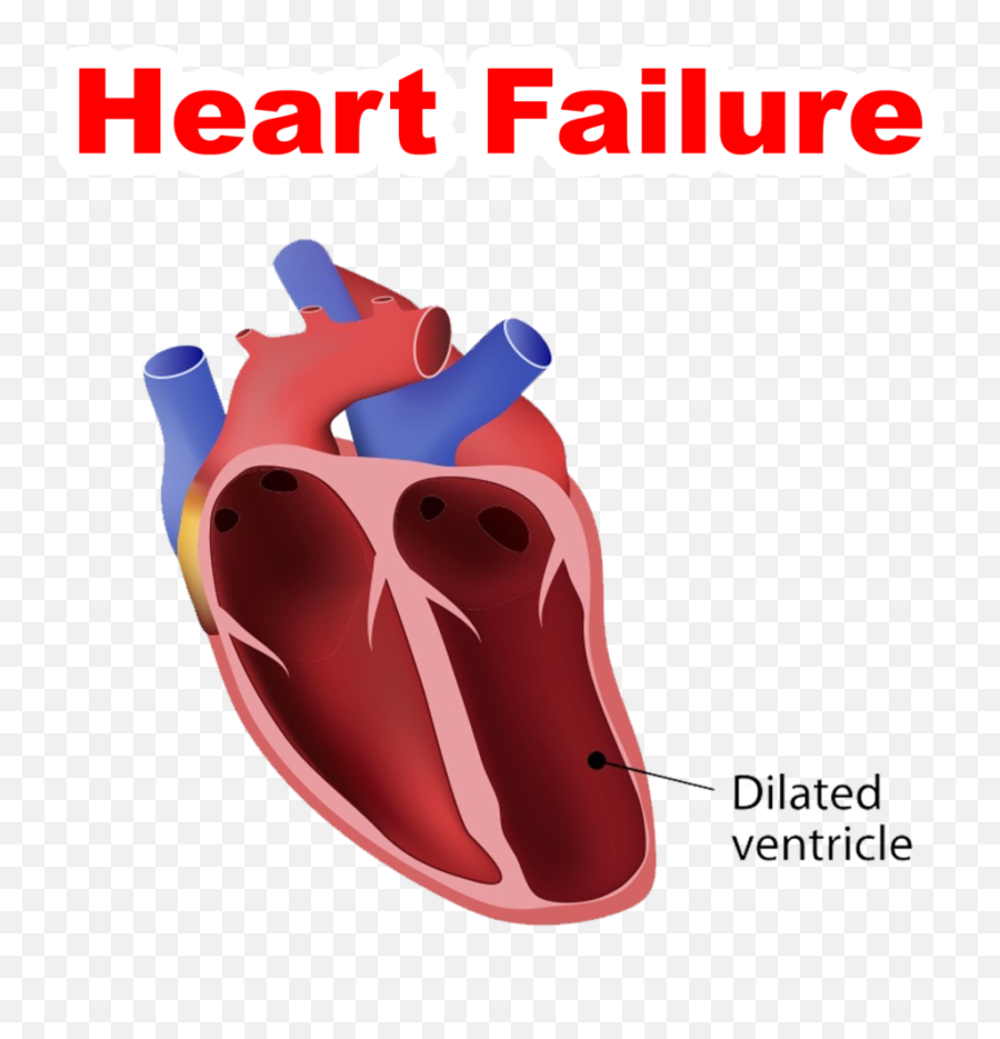 Human Heart Take Special Care Of Heart Heartly - Indian Gatha Abnormal Heart Emoji,Human Heart Png