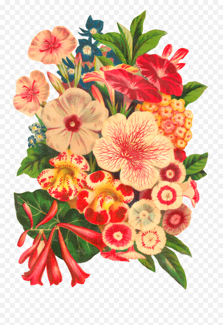 Clipart Sale 60 Off Flower Doodle Clipart Digital - Flower Bouquet Illustrations Png Emoji,Doodle Clipart