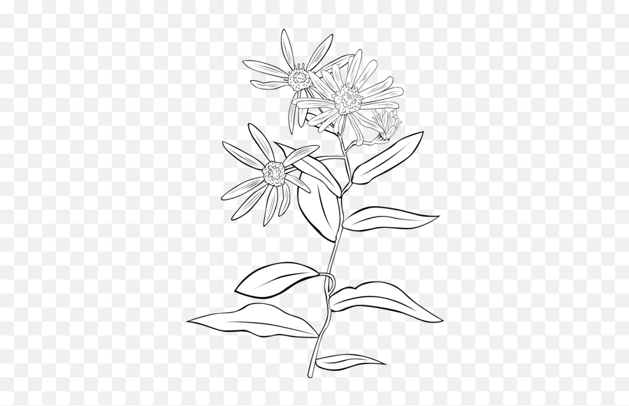 Download 5591 Flower Line Drawing Clip - Flower Line Art Transparent Png Emoji,Free Public Domain Clipart