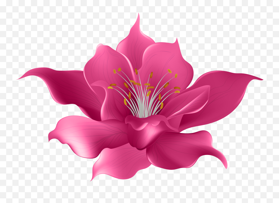 Pink Flower Transparent - Single Flower Images Hd Png Emoji,Pink Flower Clipart