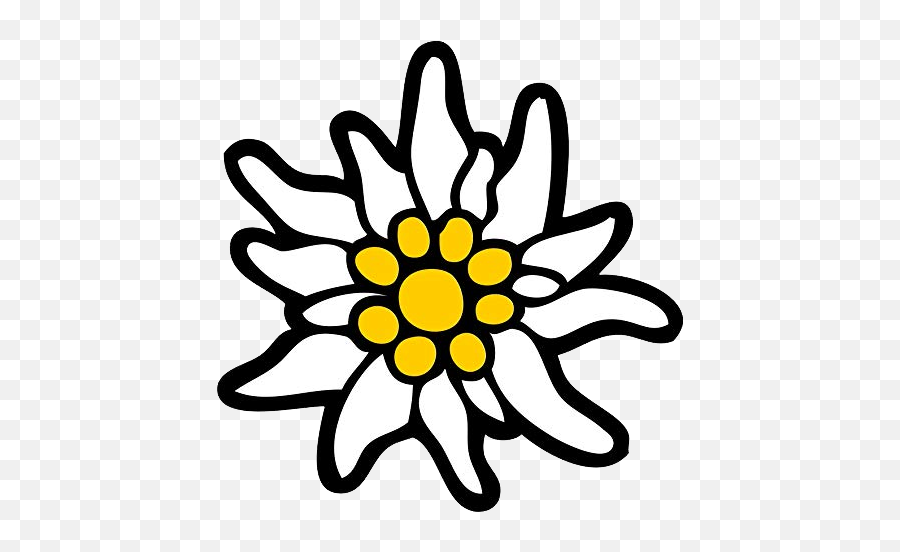 Mid Yellow Daisy Patterned Edelweiss Image Png Transparent - Edelweiß Png Emoji,Daisy Transparent Background