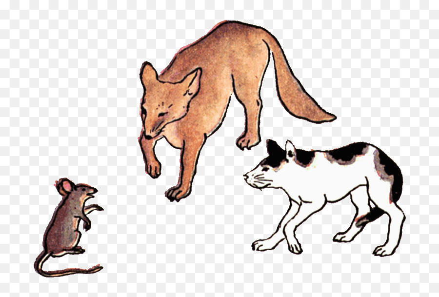 Rat Clipart Cat Rat - Dogs Cats And Rats Png Download Animals Interacting Clipart Emoji,Cat And Dog Clipart