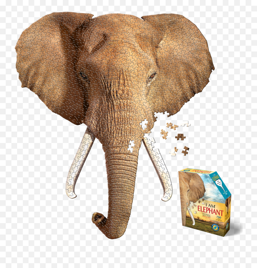 I Am Elephant 700 Emoji,Elephant Head Png
