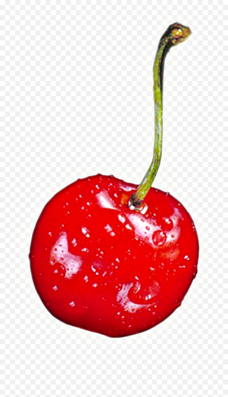 Cherry Clipart One Cherry - Cherry Png Emoji,Cherry Clipart