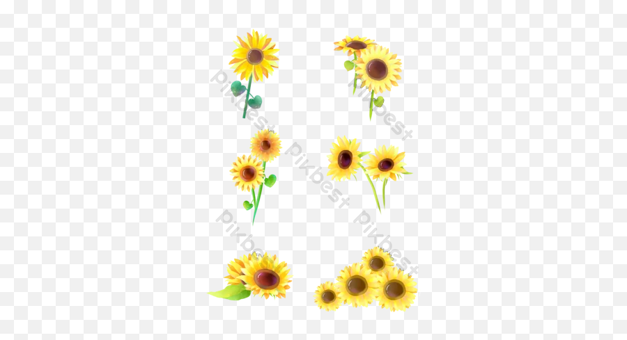 Sunflower Png Images Free Psd Templatespng And Vector Emoji,Sunflower Garden Clipart