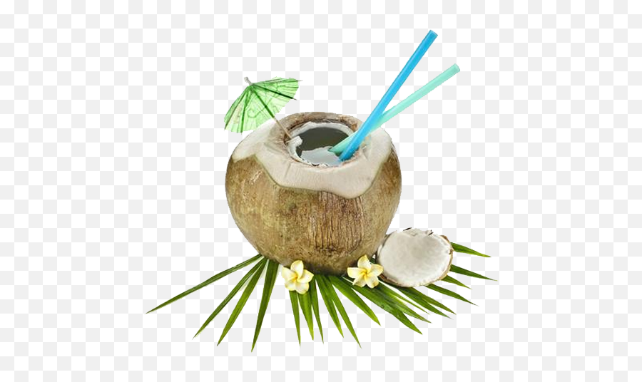 Download The Coconut Processing Therefore Traditionally Emoji,Coconut Drink Clipart