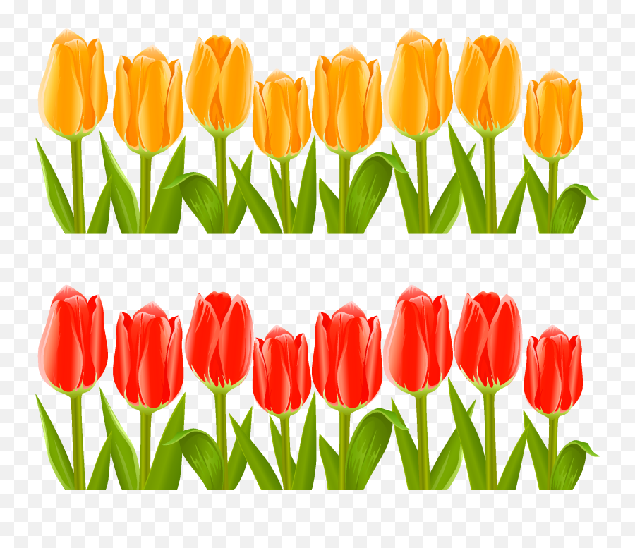 Indira Gandhi Memorial Tulip Garden - Garden Flower Clipart Png Emoji,Flowers Clipart