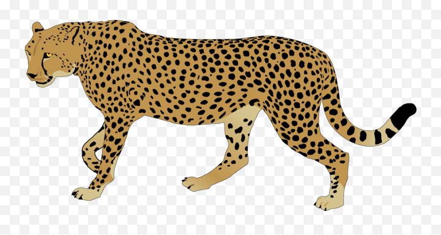 Free Cheetah Clipart Pictures - Cheeta Clip Art Png Emoji,Cheetah Clipart