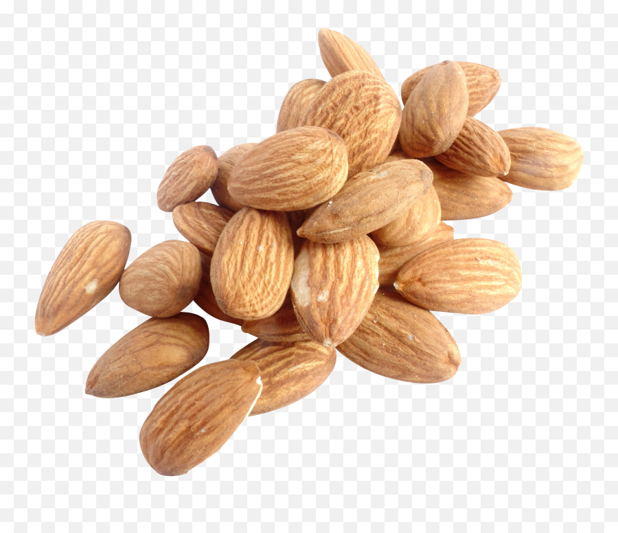 Almond Png - Nuts Png Emoji,Nuts Png
