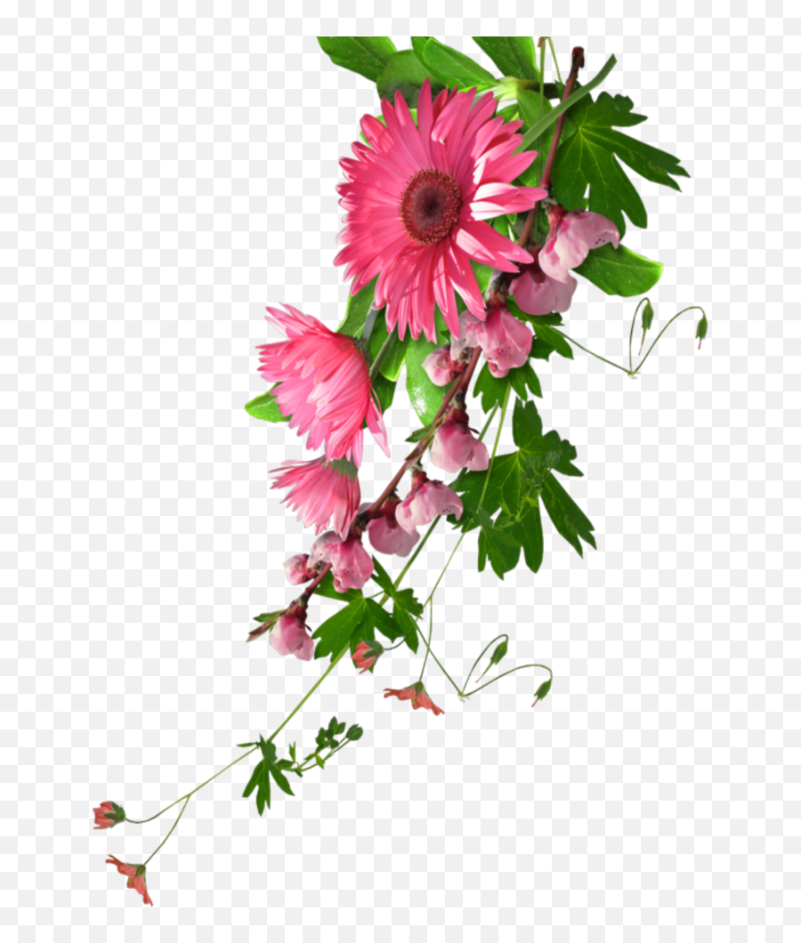 Mq Pink Flowers Flower Garden Nature - Real Flowers Clip Art Real Flower Png Hd Emoji,Pink Flowers Png