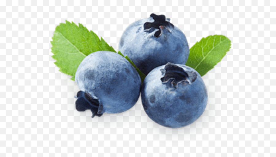 Bilberry Extract Powder 1 Lb Png Image - Demeter Blueberry Emoji,Blueberries Png