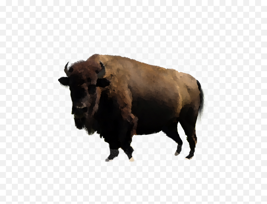 Bison Png - Did The Great Plains Tribe Eat Emoji,Bison Clipart
