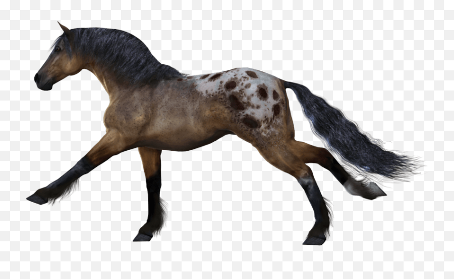 Download White Horse Png Image Download Picture Transparent - Horse Transparent Background Emoji,Horse Png