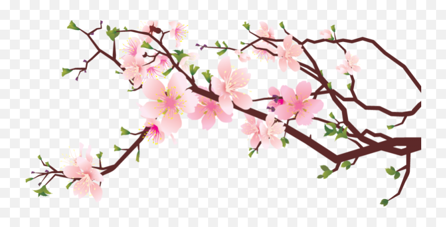 Cherry Blossom Png Transparent Png - Japanese Cherry Blossom Clipart Emoji,Cherry Blossom Png