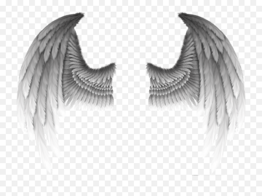 Fallen Angel Devil Wing Demon - Fallen Angel And Devil Wings Emoji,Demon Wings Png