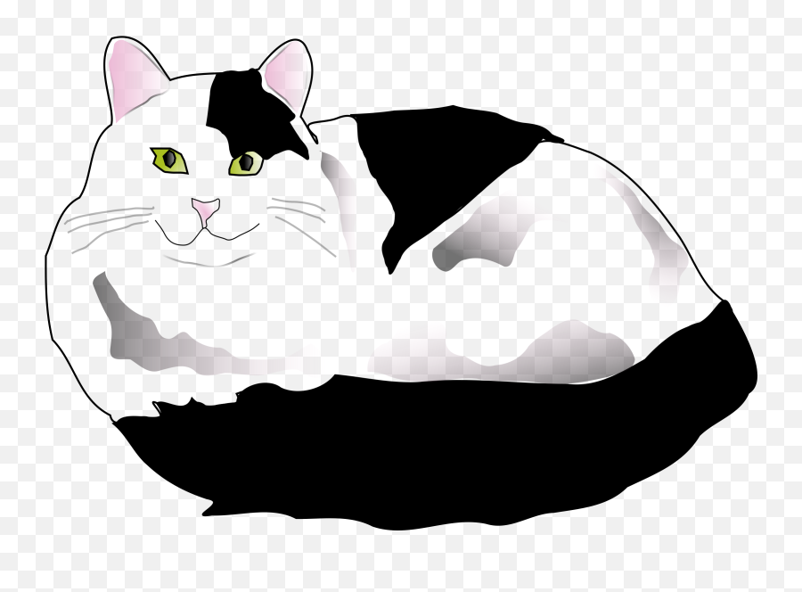 Picture - Black And White Fluffy Clip Art Emoji,Cat Clipart Black And White