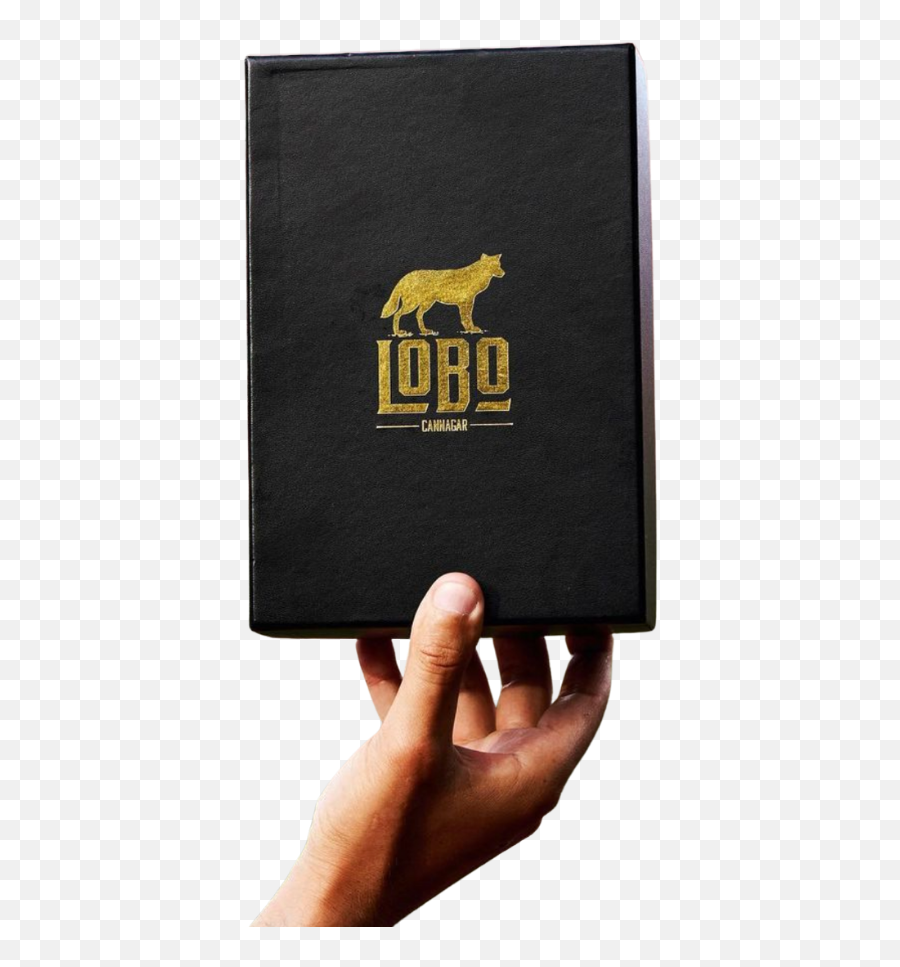 The Lobo Baller Box The Whole Range Of Lobo Products Lobo Uk Emoji,Lobo Logo