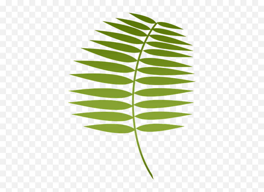 Palm Leaf Png - Lent Palm Emoji,Lent Clipart