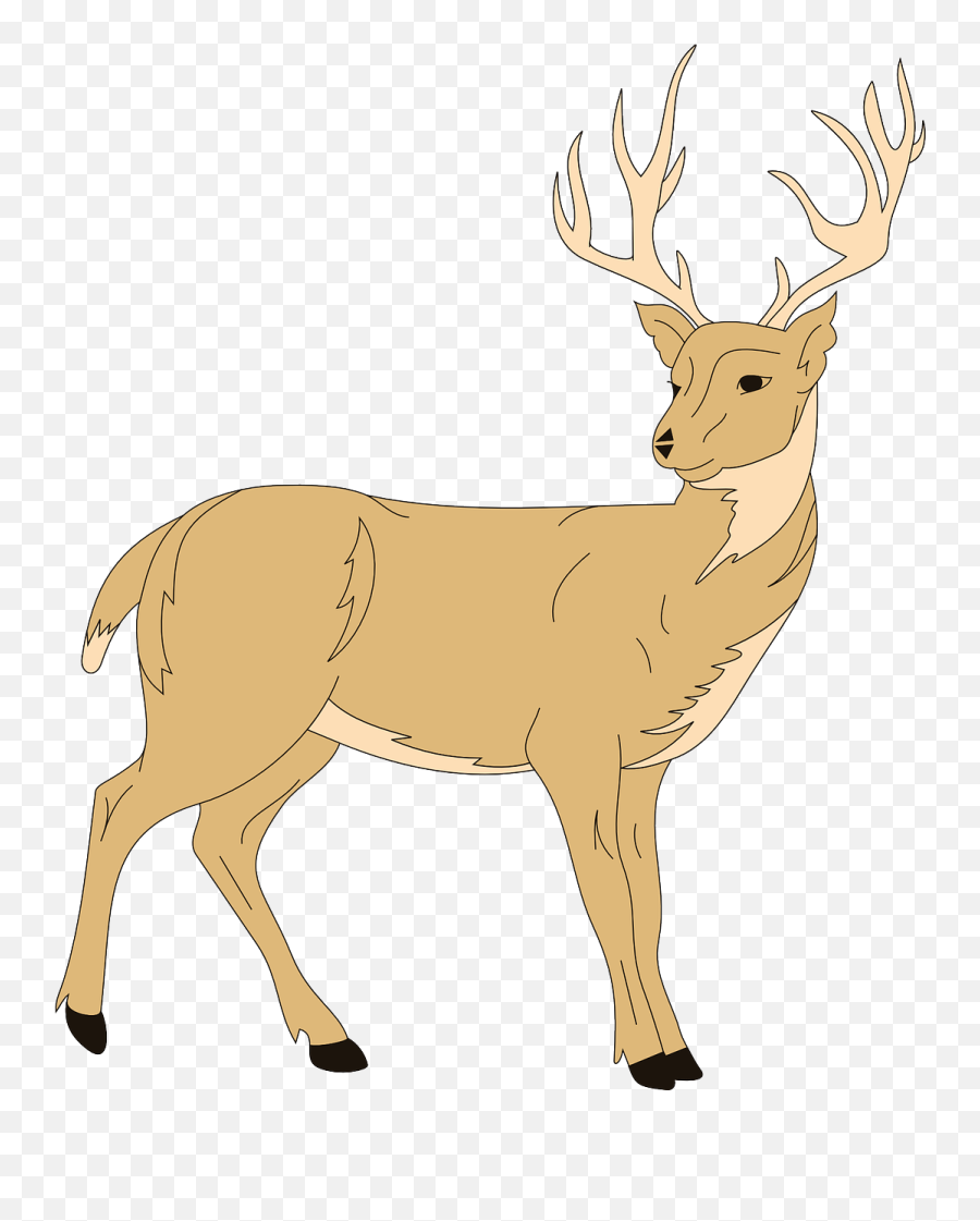 Deer Forest Animal Fur Antlers Png Picpng - Rusa Kartun Png Emoji,Reindeer Antlers Png