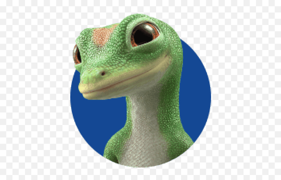 Your On - Theroad Car Kit Geico Geico Gecko Png Emoji,Geico Logo Png