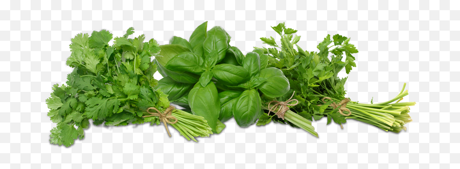Download Free Png Fresh Herbs - Dlpngcom Fresh Herbs Png Emoji,Herbs Clipart