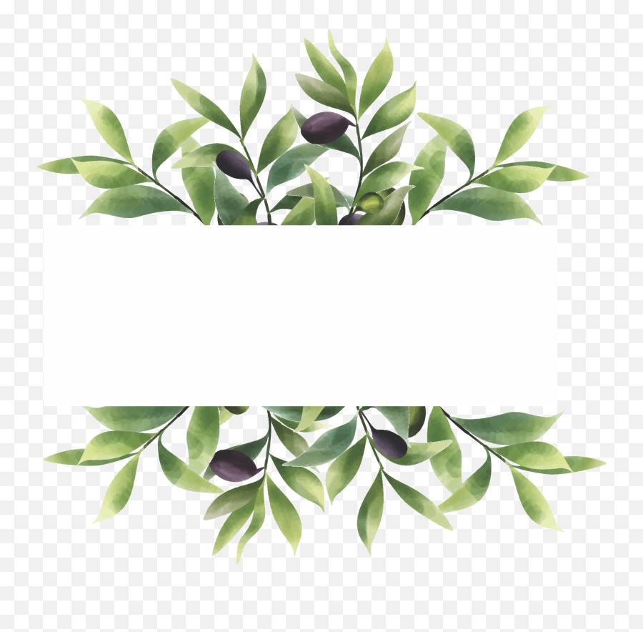 Olive Leaf Border Vector Art Icons And Graphics For Free Emoji,Watercolor Greenery Png