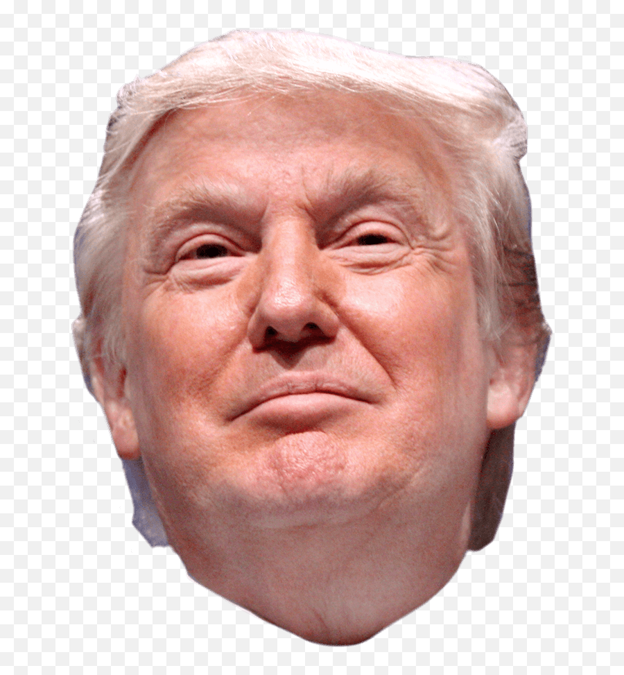 Donald Trump United States Politics - Face Donald Trump Png Emoji,Trump Transparent Background