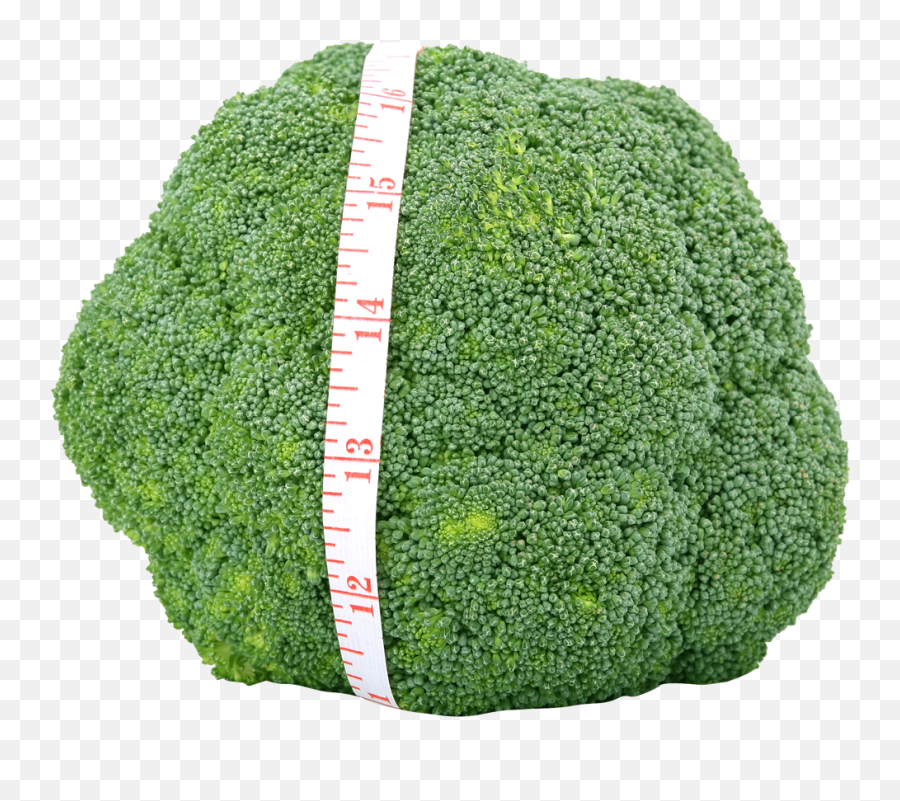 Fresh Green Broccoli Png Image - Big Broccoli Emoji,Broccoli Png