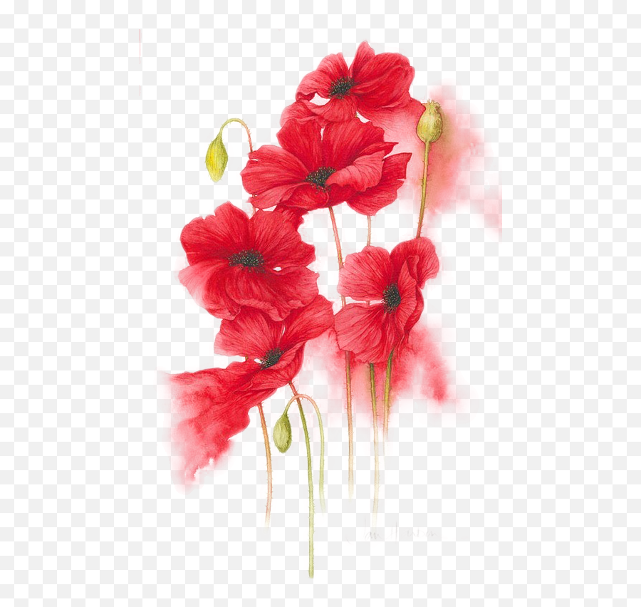 Red Flower Paintings Png U0026 Free Red Flower Paintingspng - Transparent Flower Watercolor Art Emoji,Red Flower Png