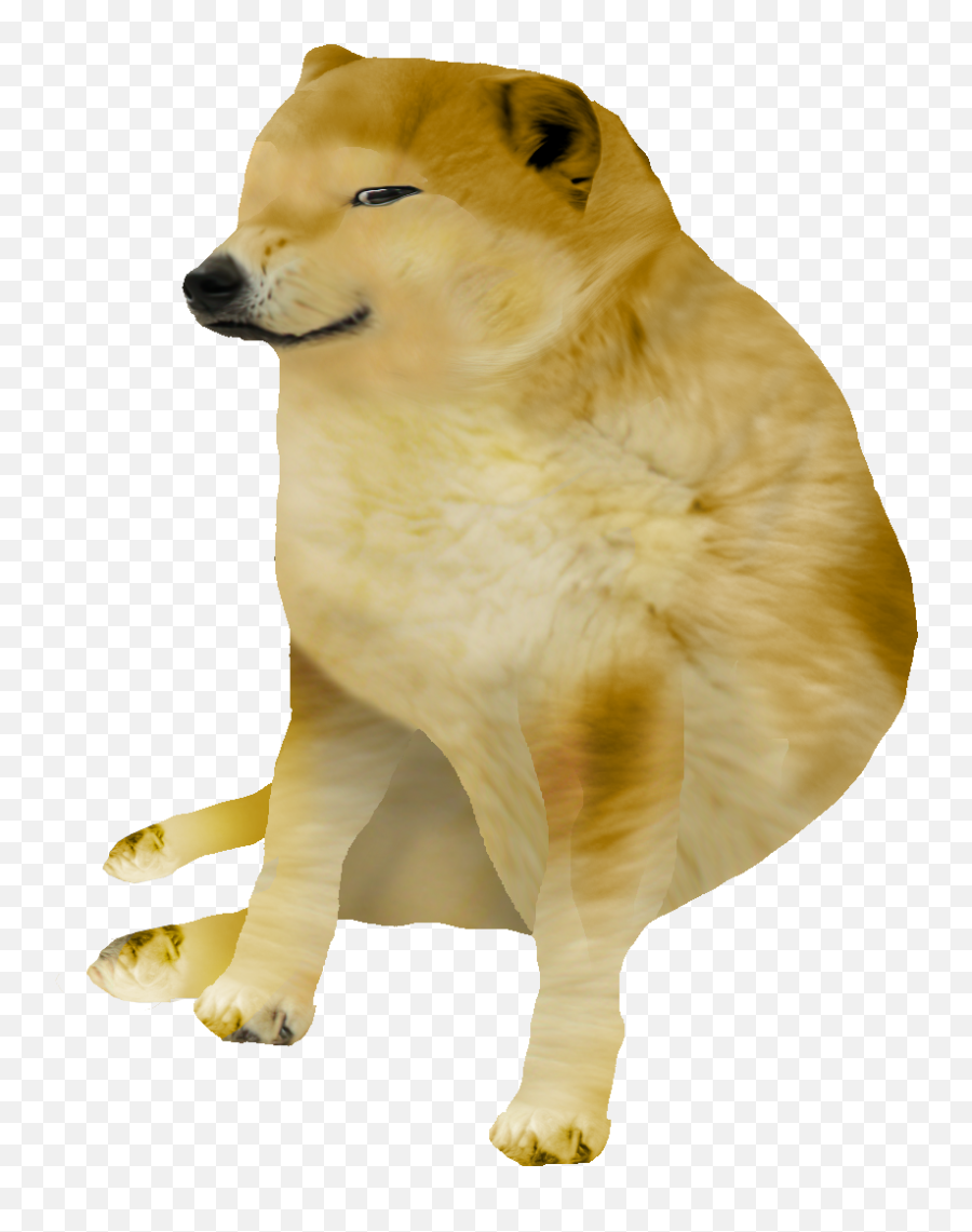Domge Png - Small Dog Meme Png Emoji,Meme Png