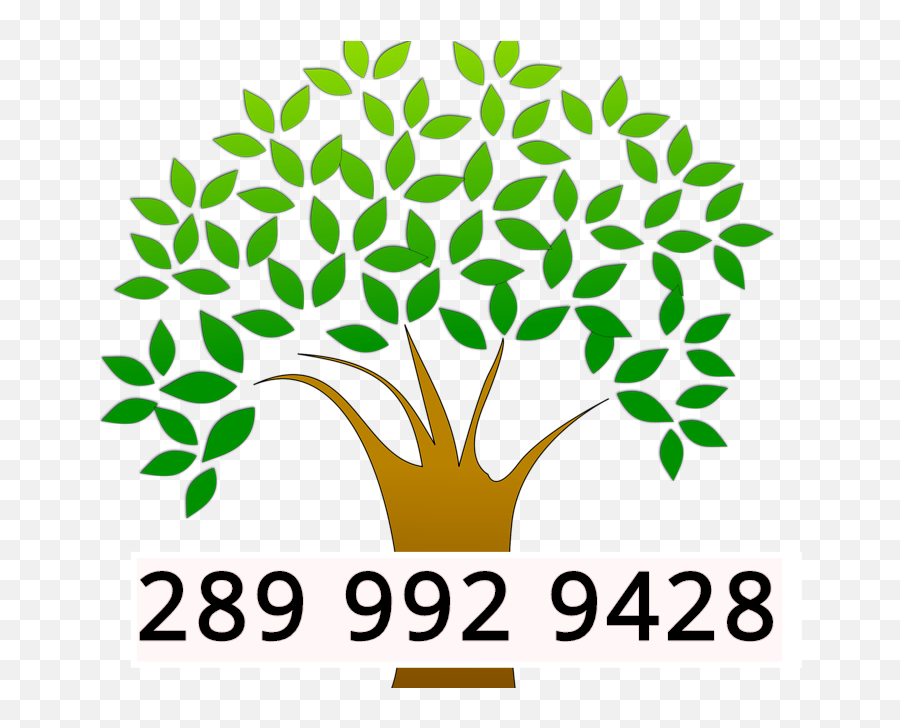 20 Off Tree Removal Family Tree - Earth Day Trees Clipart Emoji,Family Tree Clipart