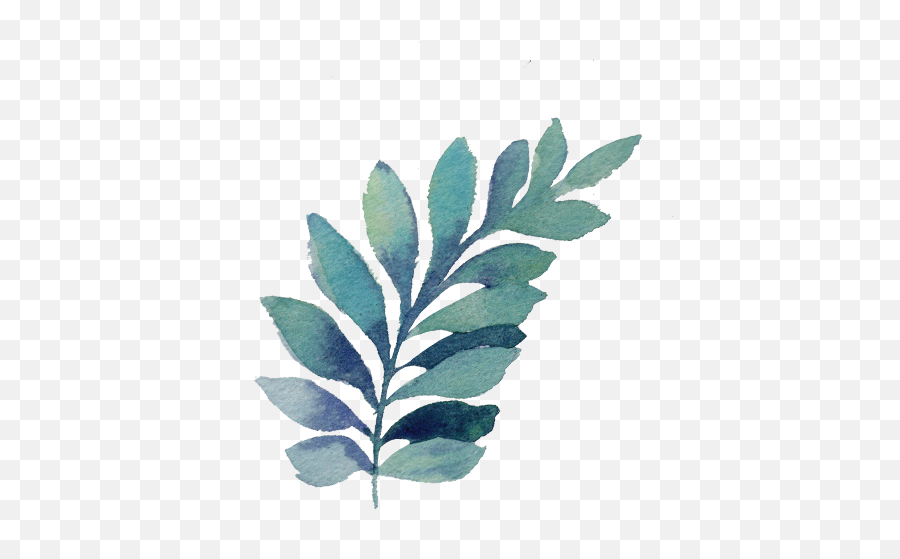 Nurture Womenu0027s Therapy - Helping Women Heal Grow And Thrive Emoji,Watercolor Leaf Png