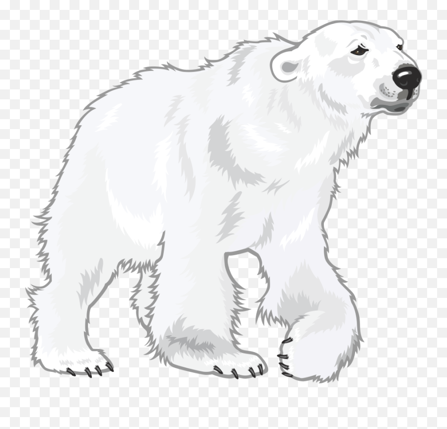 Polar Bear In Png Emoji,Polar Bear Png