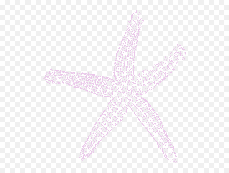 Download Hd White Starfish Png - Fish Clip Art Transparent Starfish Emoji,Star Fish Png