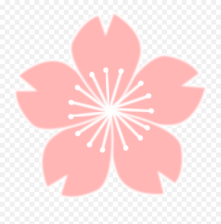 Latest Sakura Flower Drawing Of The Day - Girly Emoji,Cherry Blossom Png