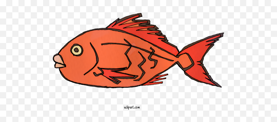 Animals Northern Red Snapper Red - Aquarium Fish Emoji,Transparent Animals