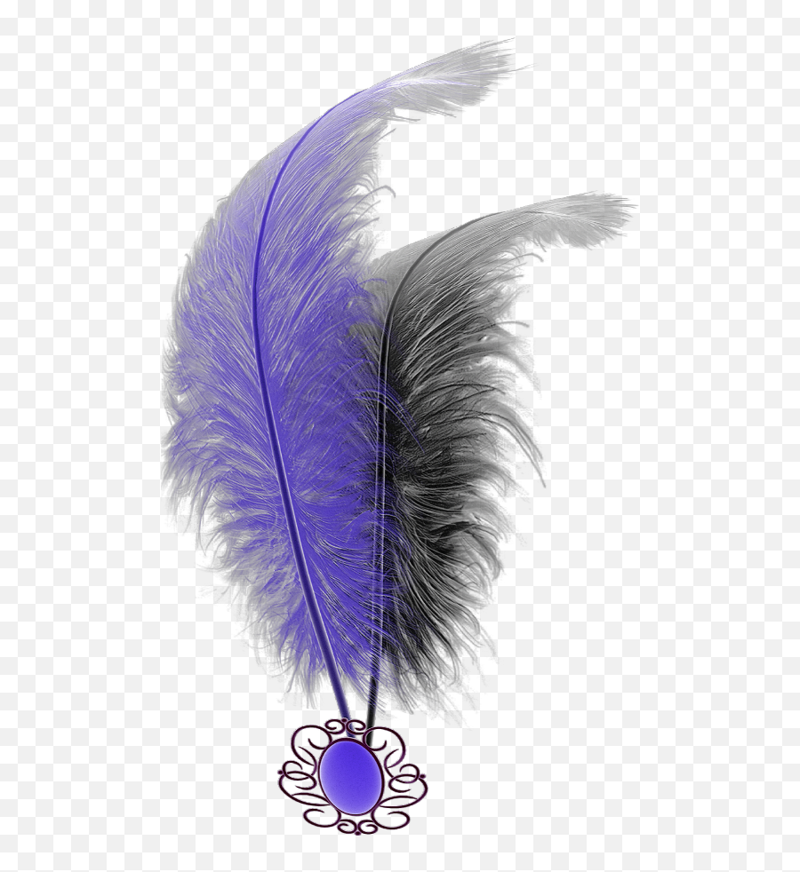 Download Hd Mq Purple Black Feathers Emoji,Black Feathers Png