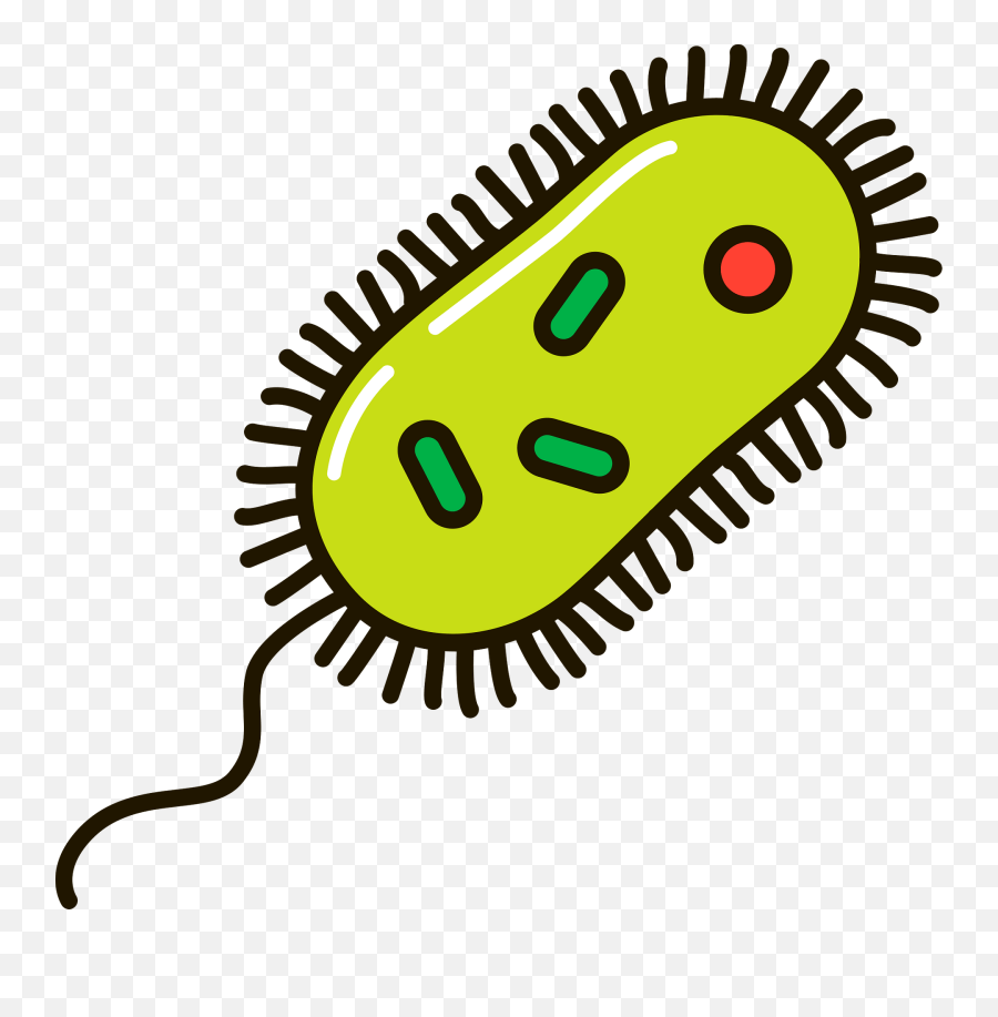 Bacteria Clipart - Transparent Prokaryotic Cell Clipart Emoji,Bacteria Clipart