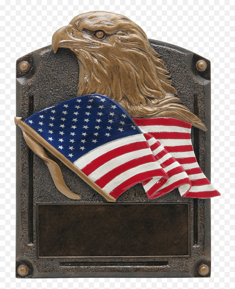 Usa Eagle - American Flag Png Download Original Size Png Us Flag Emoji,American Flag Png