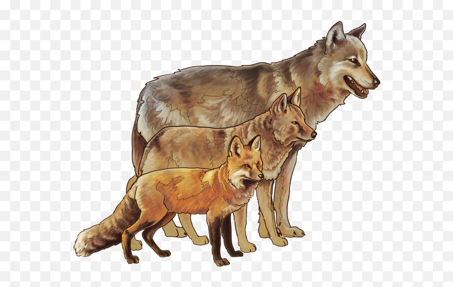 Art By National Park Service An Illustration Of A Fox - Wolf Coyote Fox Emoji,National Park Service Logo
