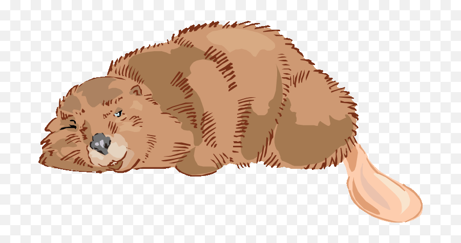 Two Cats Sleeping Clipart - Clip Art Bay Sleeping Beaver Clipart Emoji,Sleeping Clipart