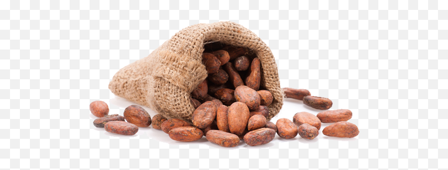 Cacao Png - Cacao Png Emoji,Transparent Background Png