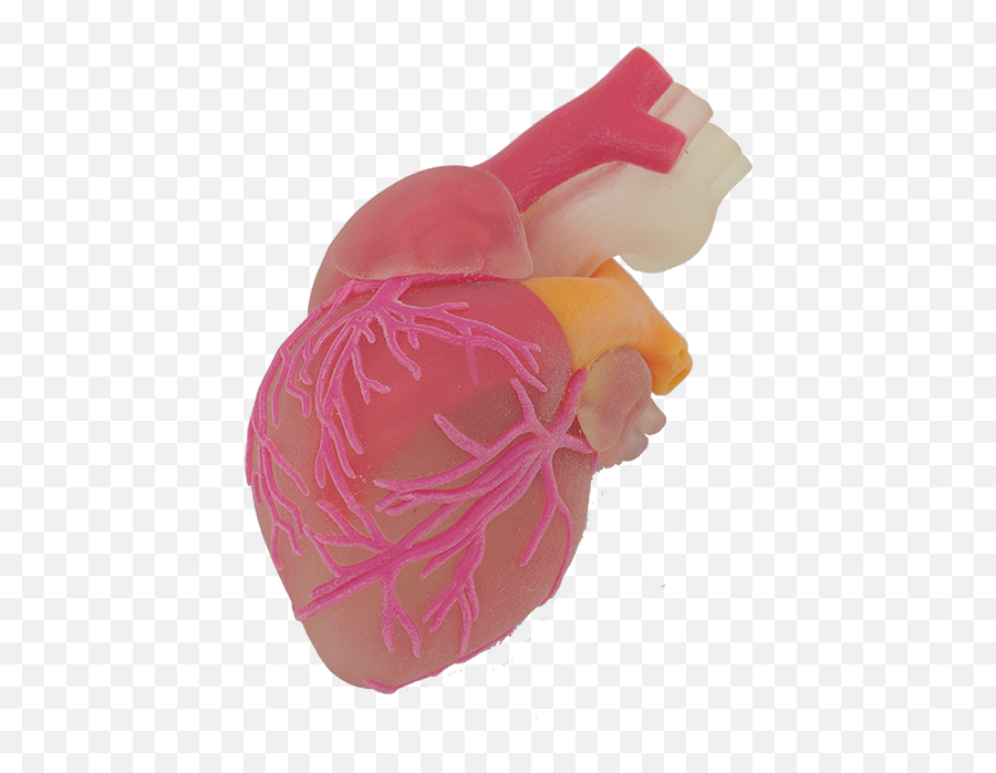 Index Of W - Amprntimagesgallery Heart Emoji,Human Heart Png