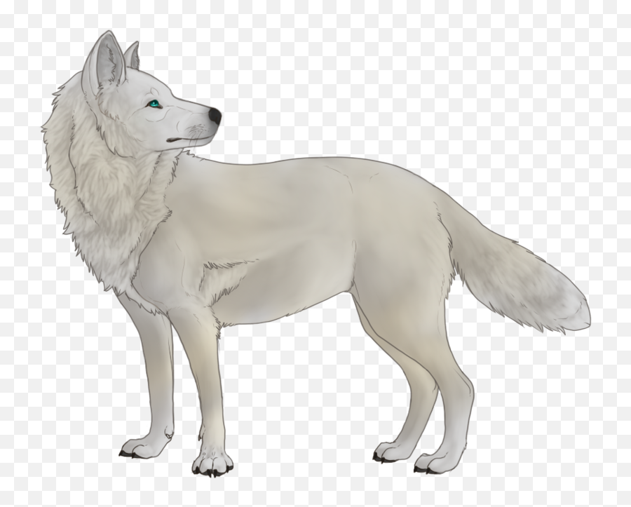 White Wolf No Background Emoji,White Wolf Png