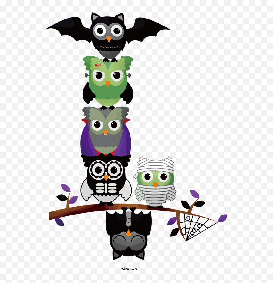 Holidays Owls Cartoon Little Owl For Halloween - Halloween Emoji,Transparent Owl