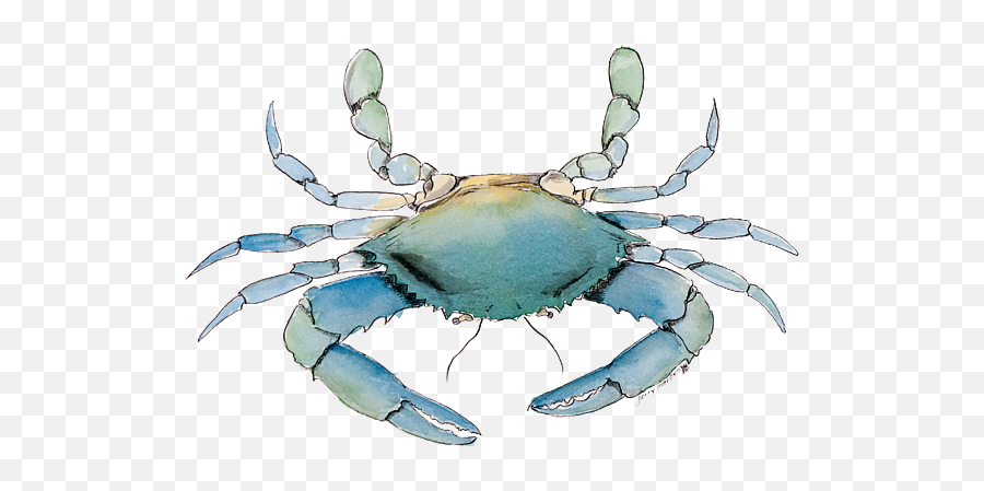 Blue Crab - No Background Beach Towel For Sale By Jerry Havens Emoji,Blue Crab Png