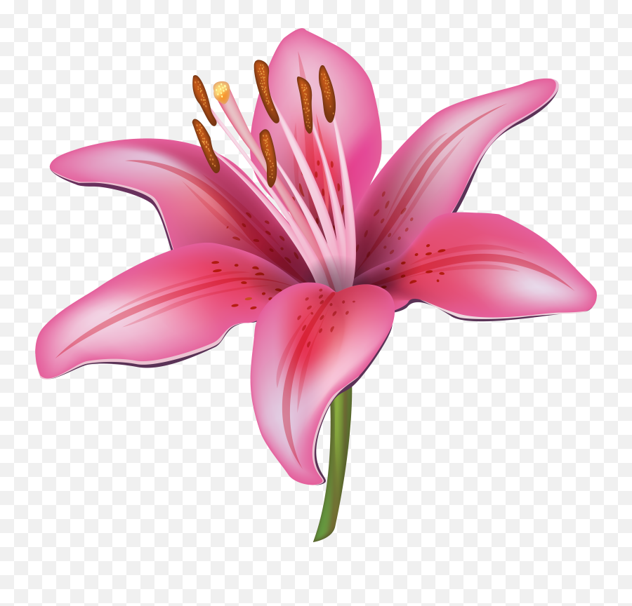 Clipart Flower Spa Clipart Flower Spa Transparent Free For - Cartoon Lily Flower Png Emoji,Spa Clipart