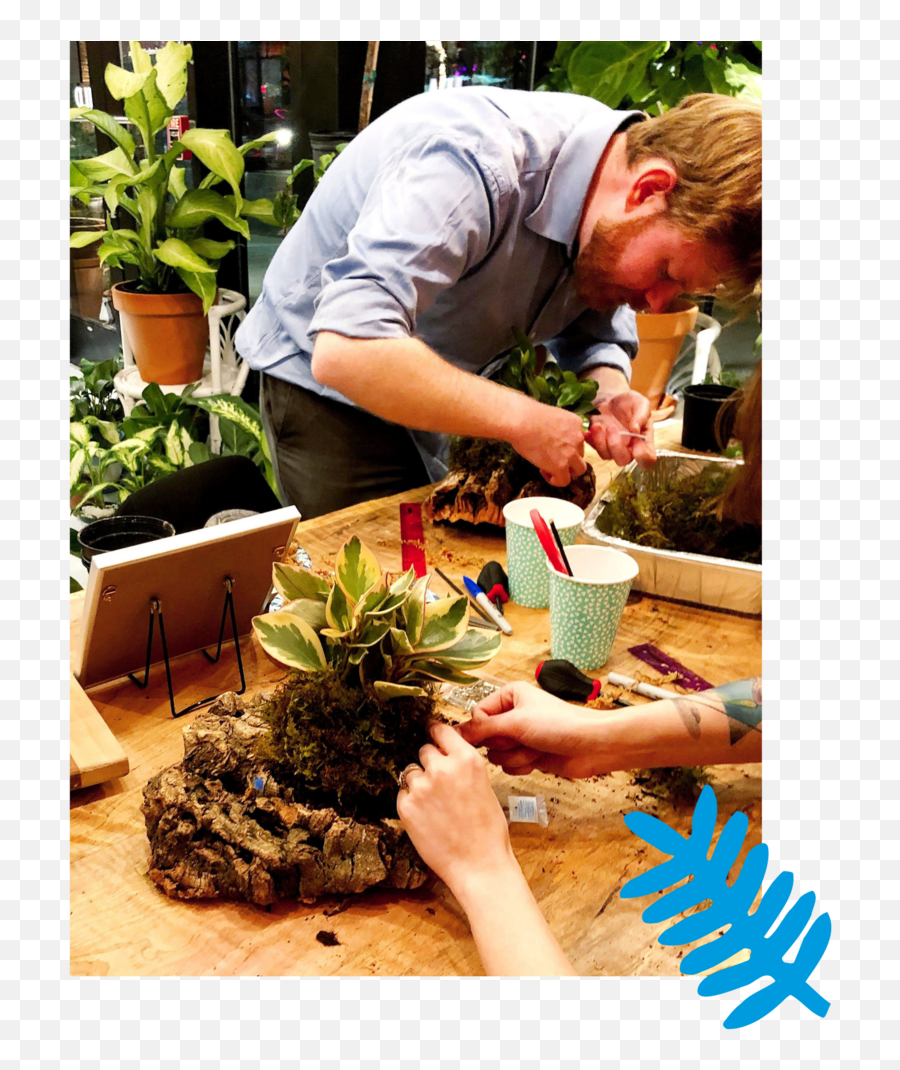 Rock Paper Plant Emoji,Plants Png